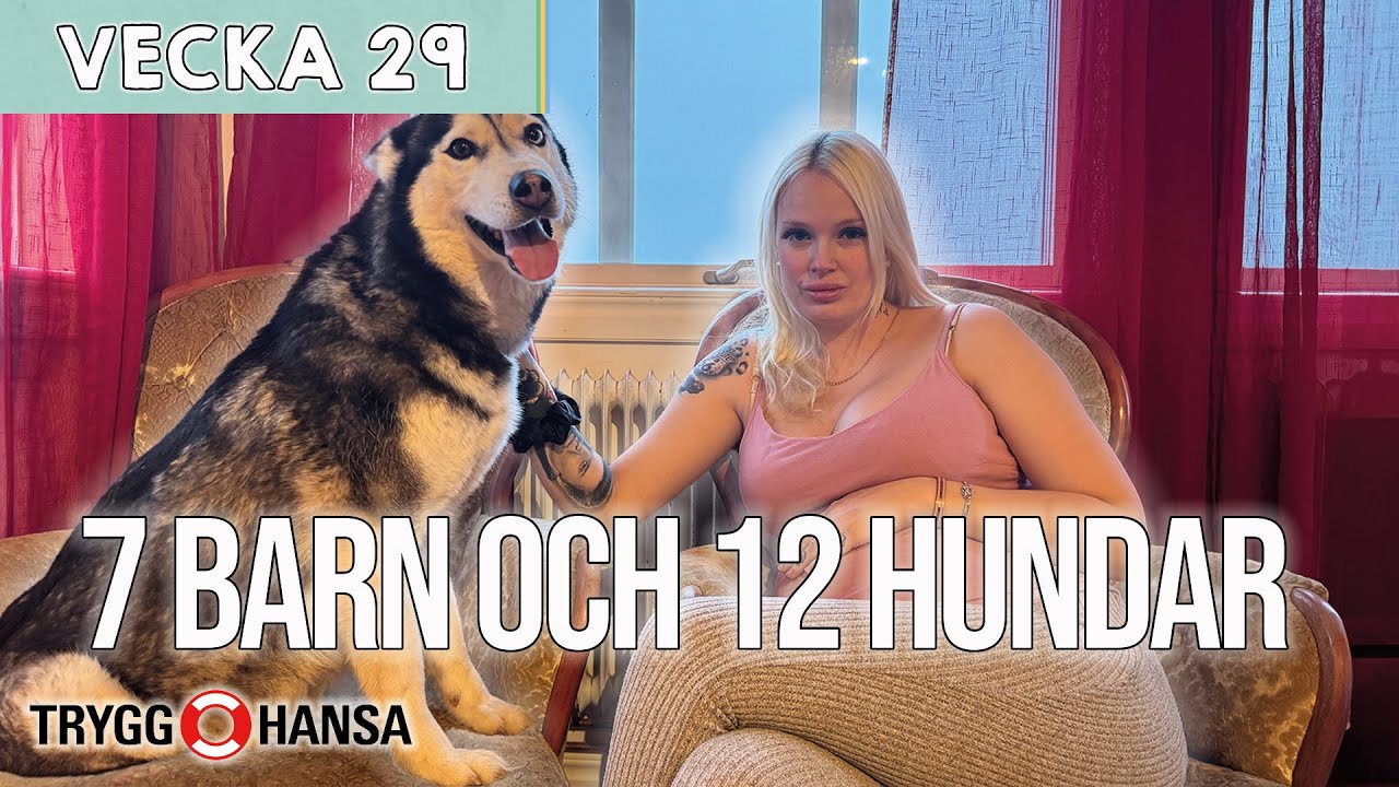 PACKAR BB-VÄSKAN! - Natalie Eklind vecka 29