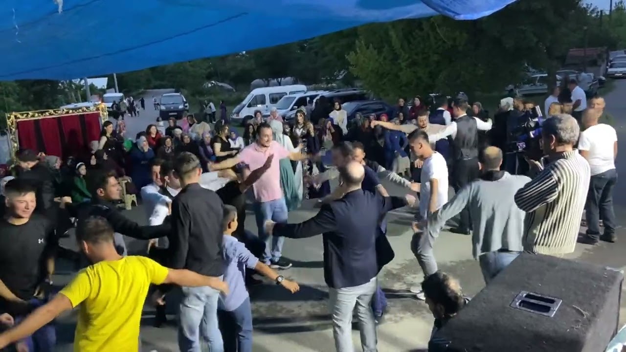 Çamlı düğün