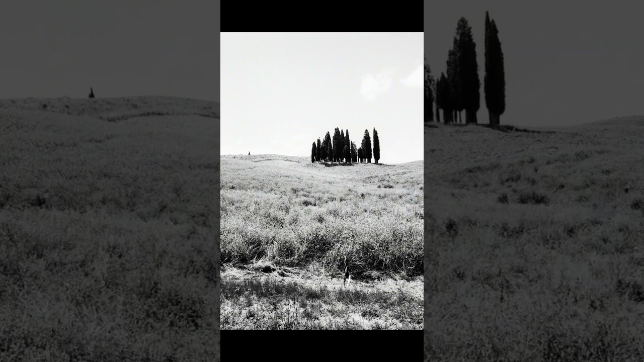Agfa APX 400 film | Val D&rsquo;Orcia, Tuscany!
