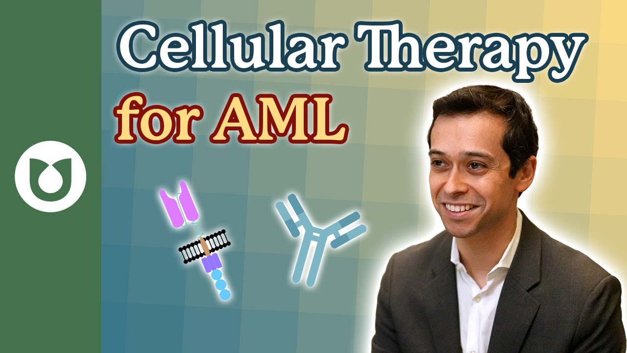 What is cellular therapy? Is this currently being used to treat AML? 
