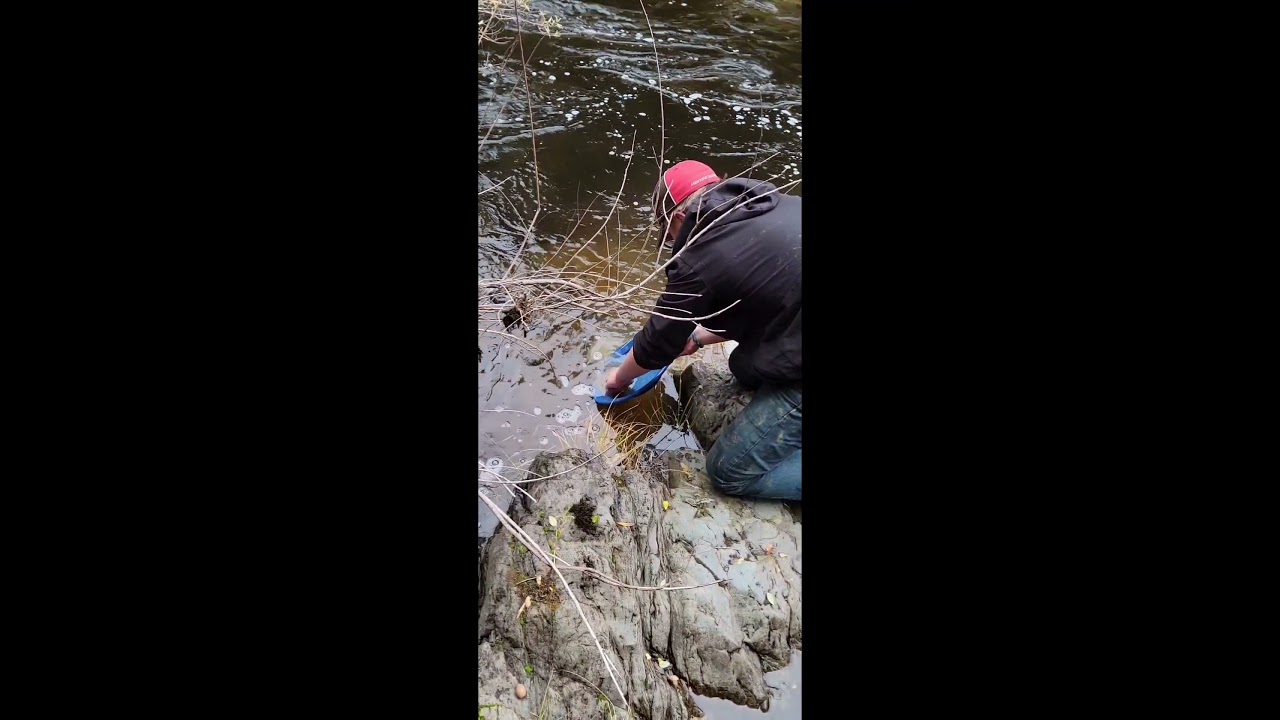 GRAVE CREEK PUBLIC ACCESS GOLD PANNING AREA SOUTHERN OREGON.