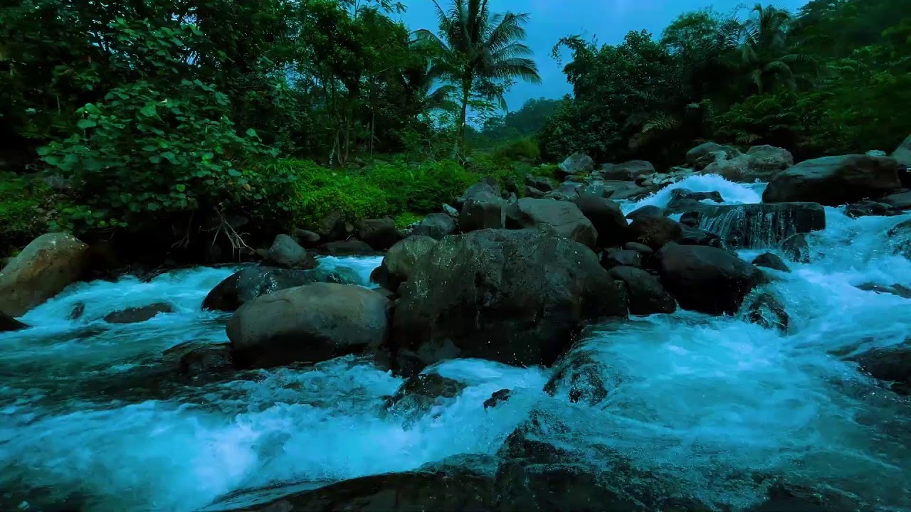 Peaceful River Stream Sounds – Natural Water Ambience for Relaxation