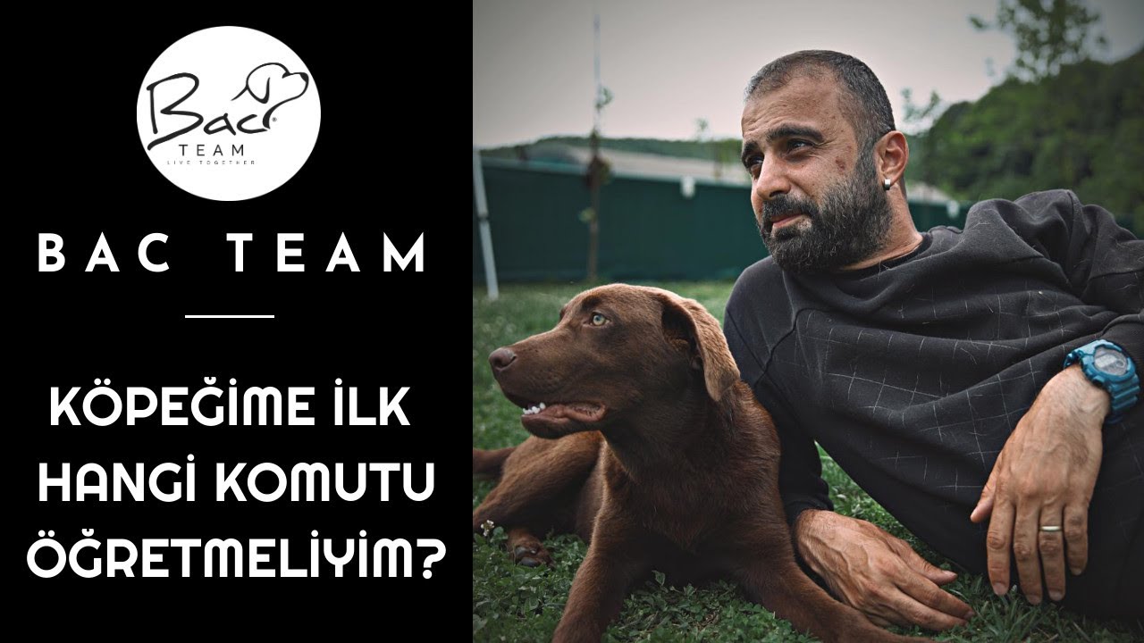 KÖPEĞİME İLK HANGİ KOMUTU ÖĞRETMELİYİM?