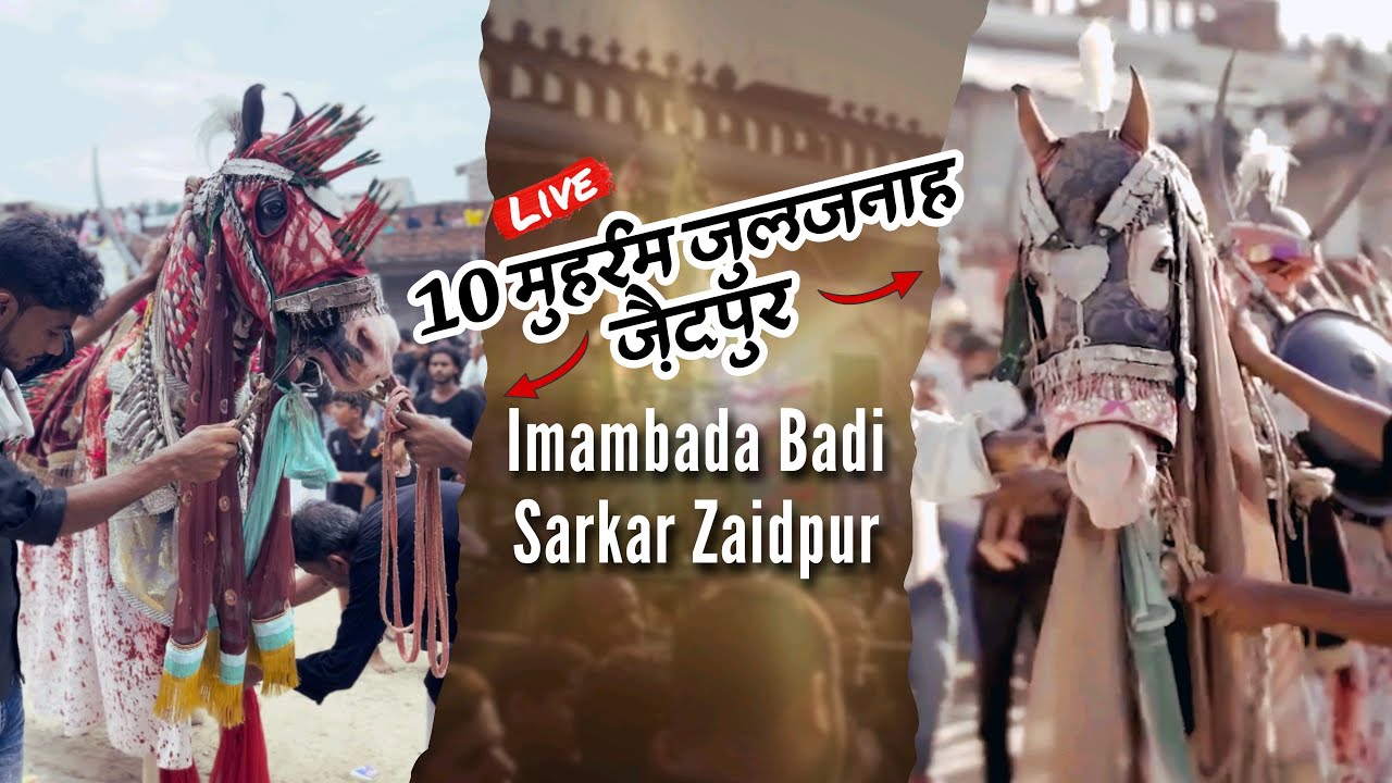🔴10 Muharram Zuljanah Badi Sarkar Zaidpur | Zuljanah Ki Ziyarat | 10 Muharram Badi Sarkar Zaidpur