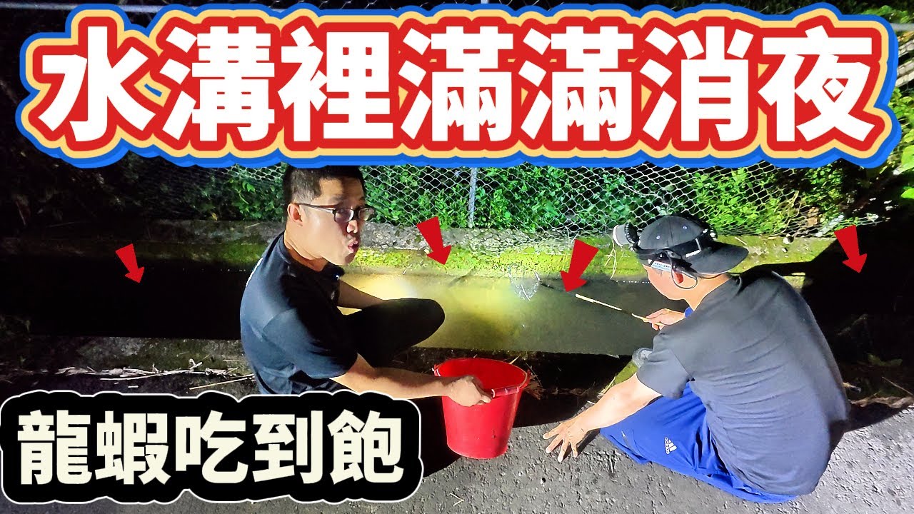 好朋友說要請我龍蝦吃到飽 竟然帶我來水溝!?消夜抓到滿出來!!!真的這麼多龍蝦?水溝王系列!!!!