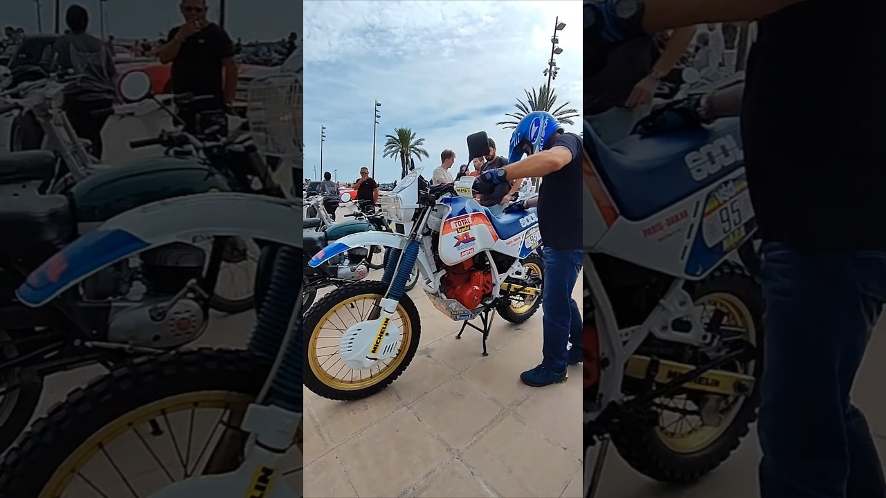 HONDA XL 600L #honda #hondaxl #hondamotorcycles
