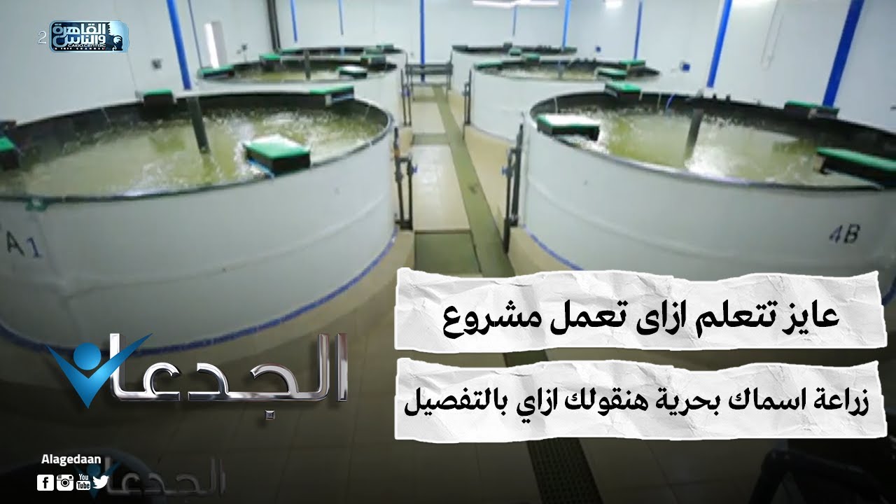 عايز تتعلم ازاى تعمل مشروع زراعة اسماك بحرية .. هنقولك ازاي بالتفصيل