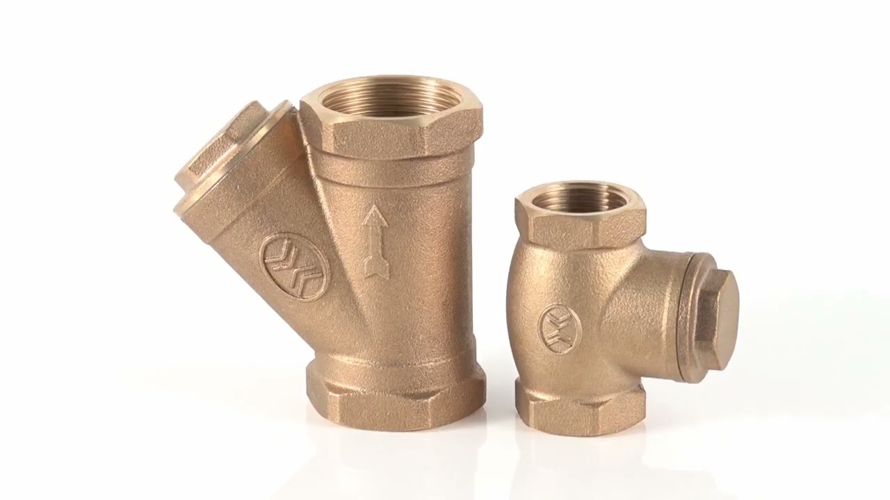 bronze strainer and check valve