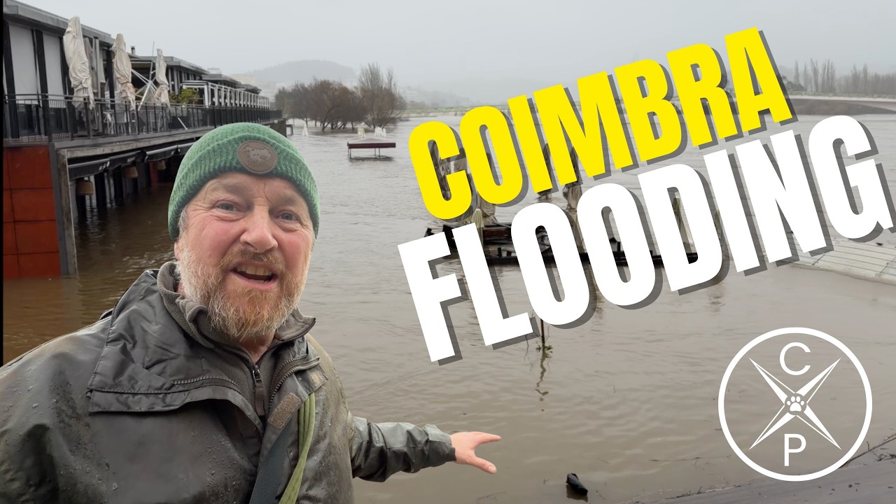 Our Village's Storm Created a Disaster Downstream