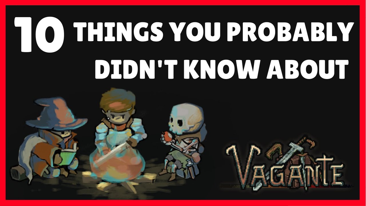 10 Things You Probably Didn't Know About Vagante