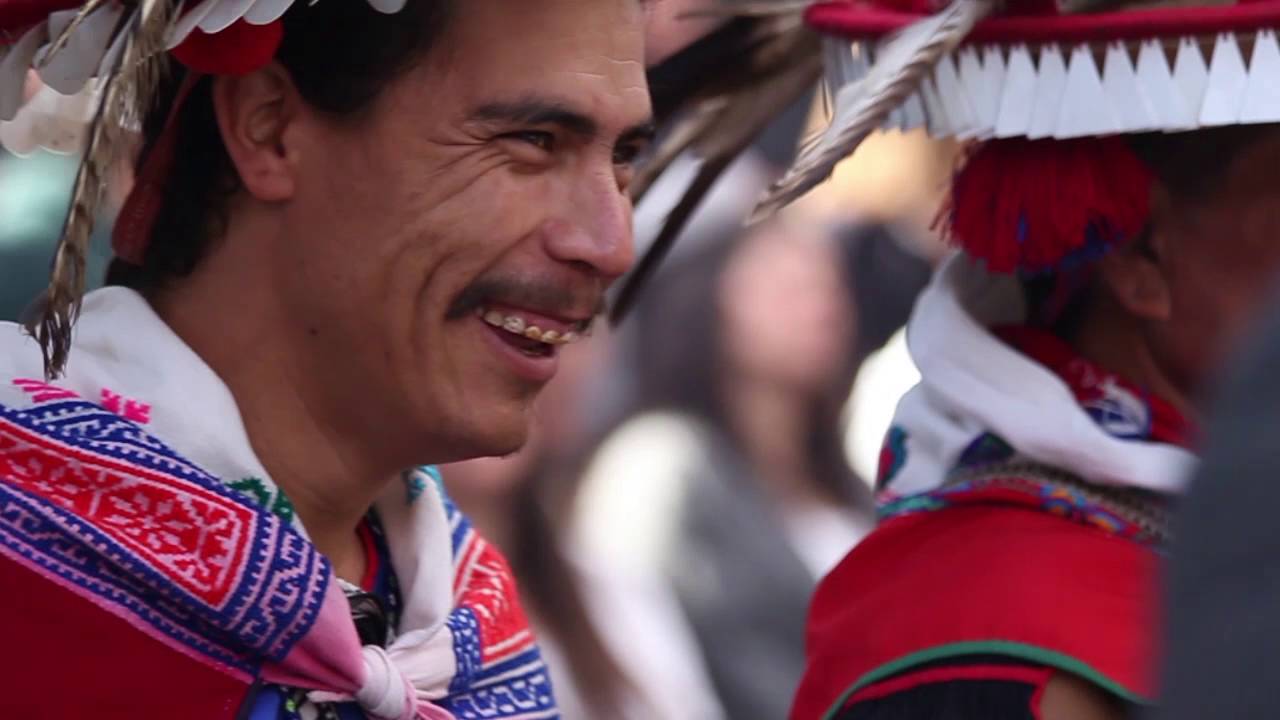 RaÍces de la Tierra 2016