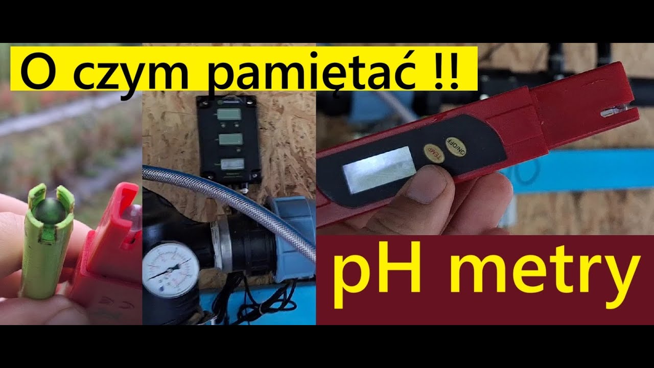 Jaki ph metr Używam w Fertygacji w Uprawie Borówki O Czym WARTO PAMIĘTAĆ !!!