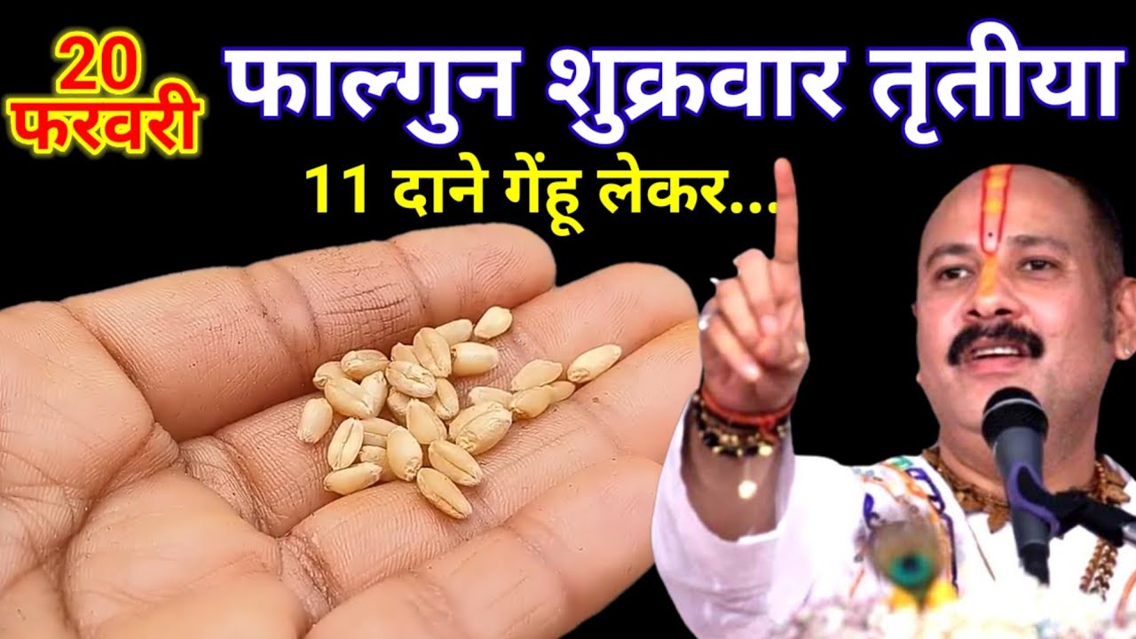 20 फरवरी फाल्गुन शुक्रवार तृतीया तिथि के दिन 11 दाने गेंहू वाला उपाय जरुर करे || Pradeep Ji Mishra