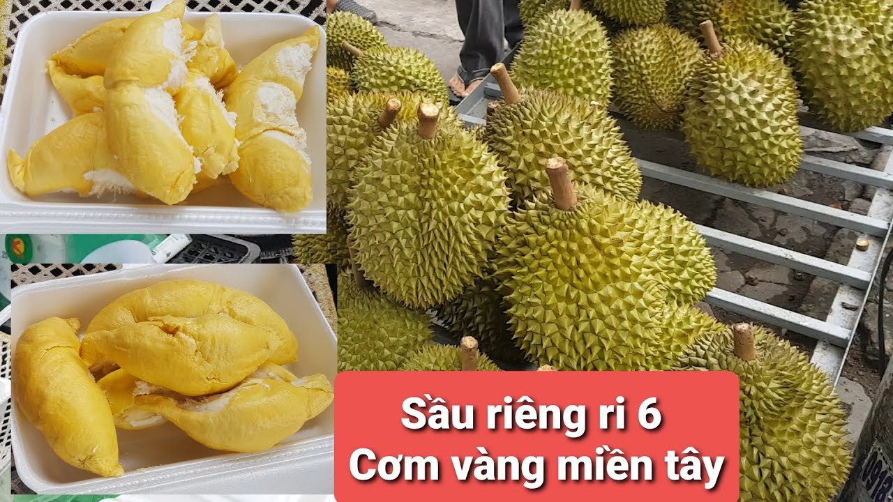 Hai Vợ Chồng Anh Chị Bán Sầu Riêng Miền Tây Siêu Ngon,Phương Tự Tay Khui 2 Trái Sầu Riêng và Cái Kết