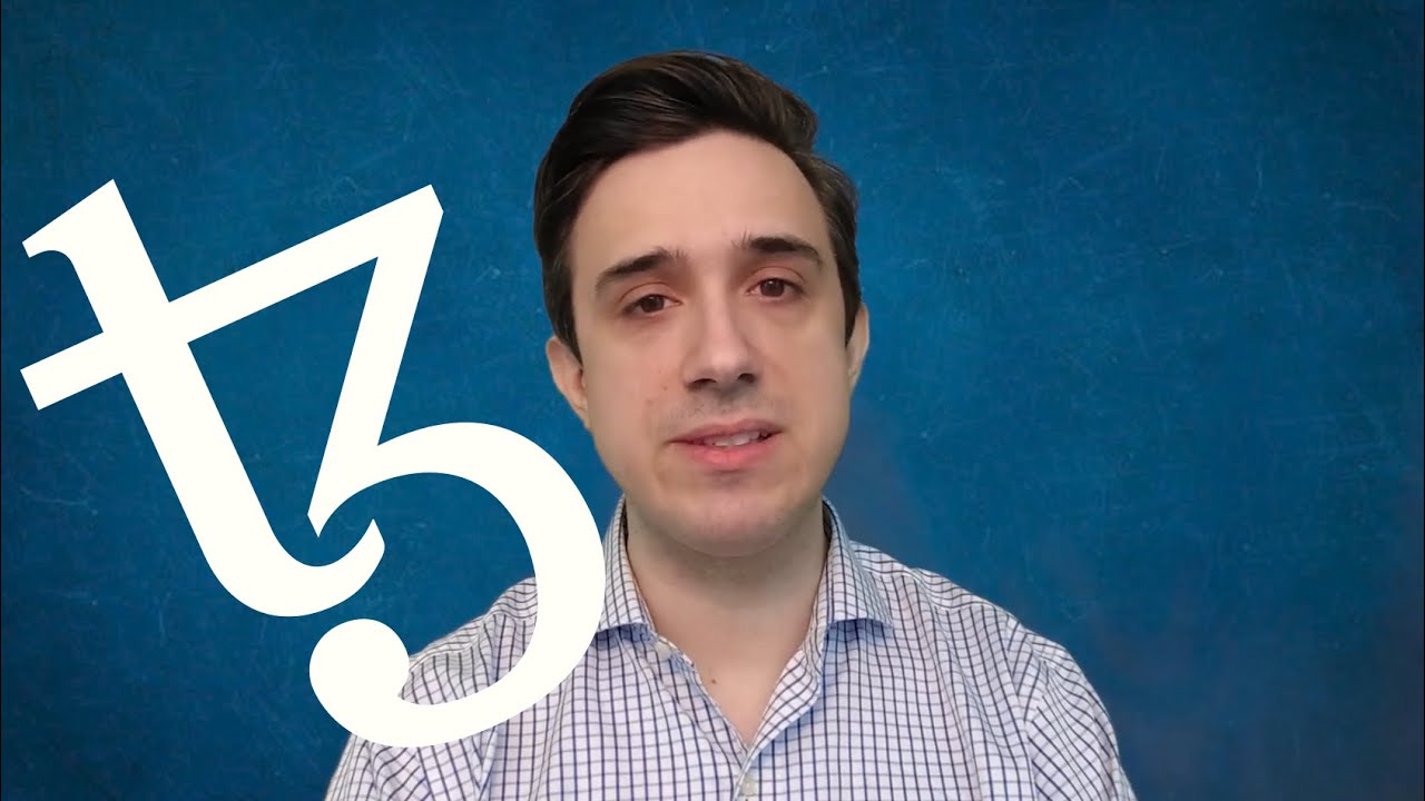 Protocol Level Fees on Tezos?