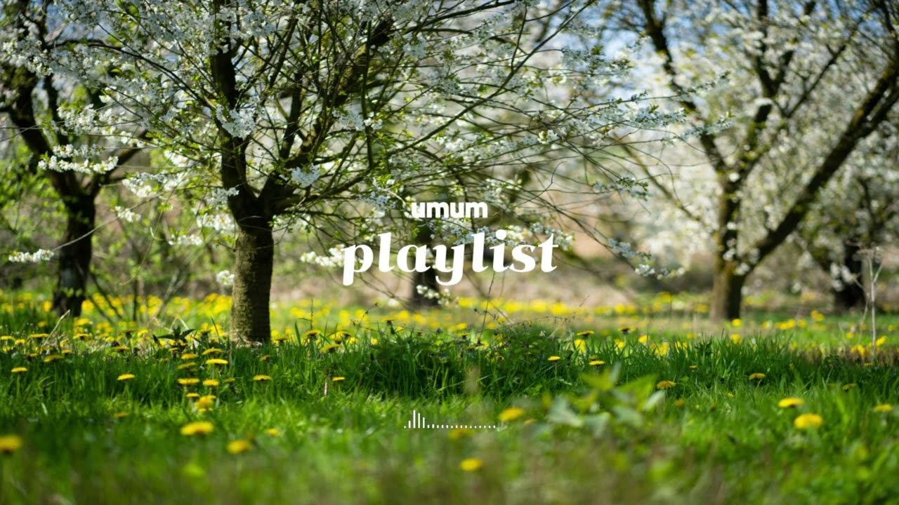 [Playlist] 벚꽃이 흩날리는 봄 재즈 🌸 따뜻한 봄 감성 힐링 재즈 | Spring Jazz Pop