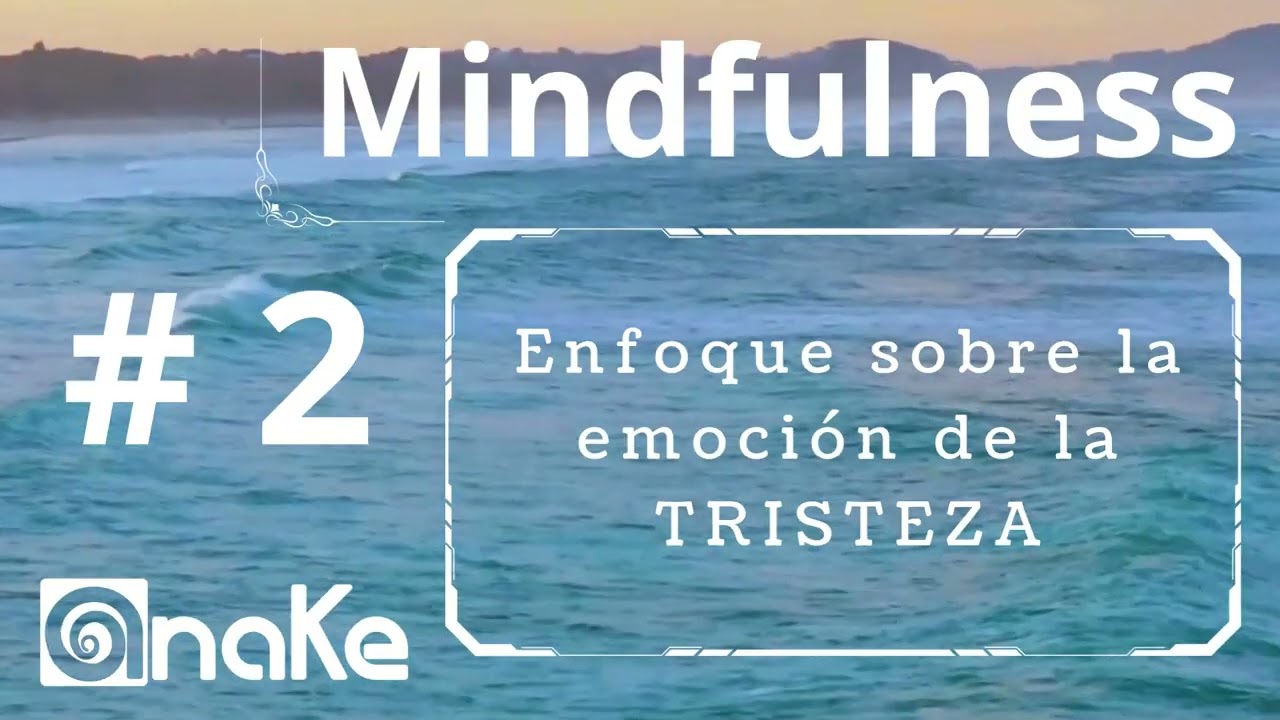 Enfoque sobre la emoción de la TRISTEZA