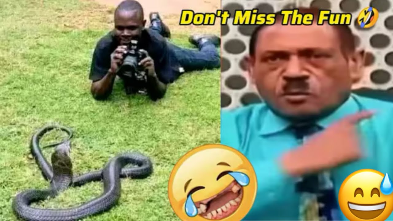 A Must Laugh videos//Try Not To Laugh Impossible Challenge 