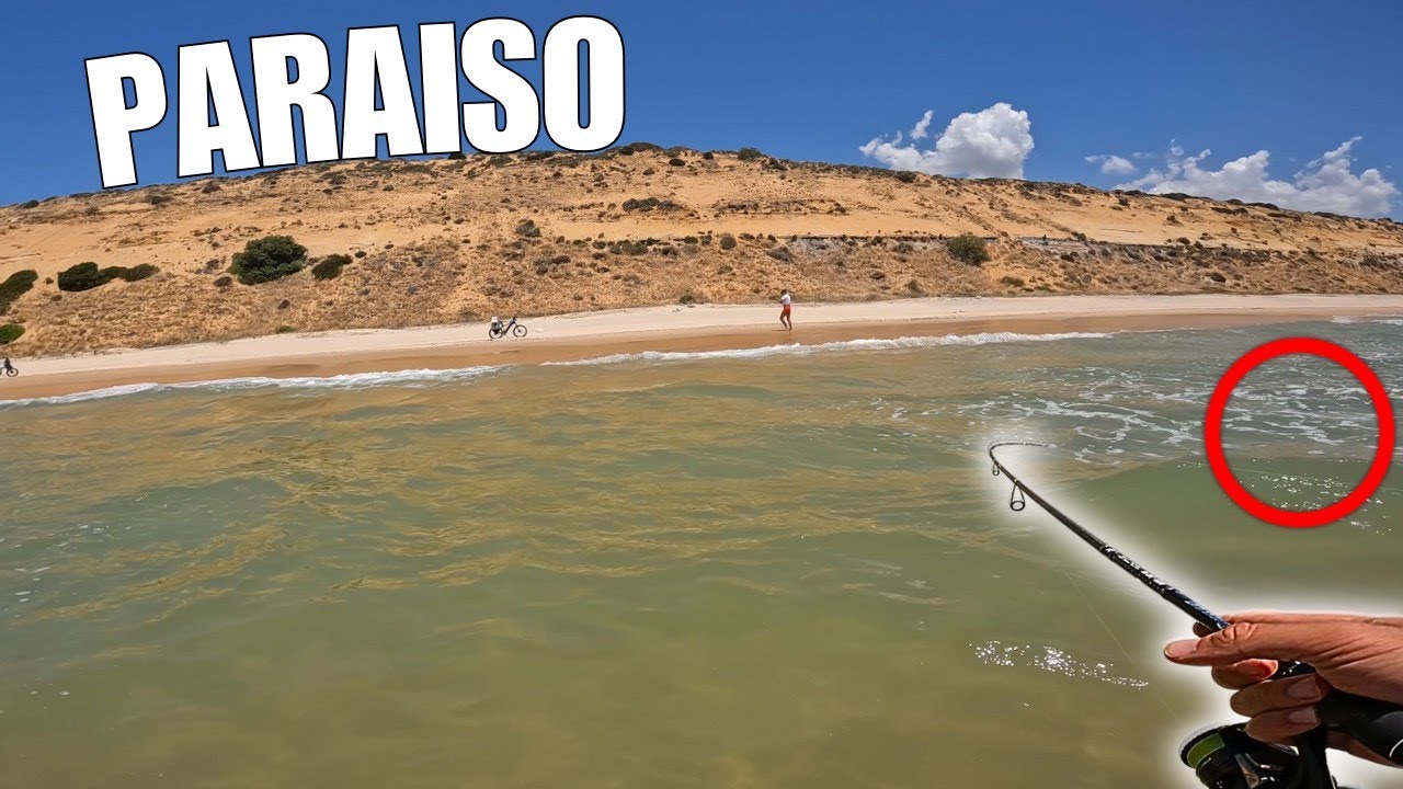 CONFIRMADO! Mejor destino de ESPAÑA para PESCAR a SPINNING desde PLAYA