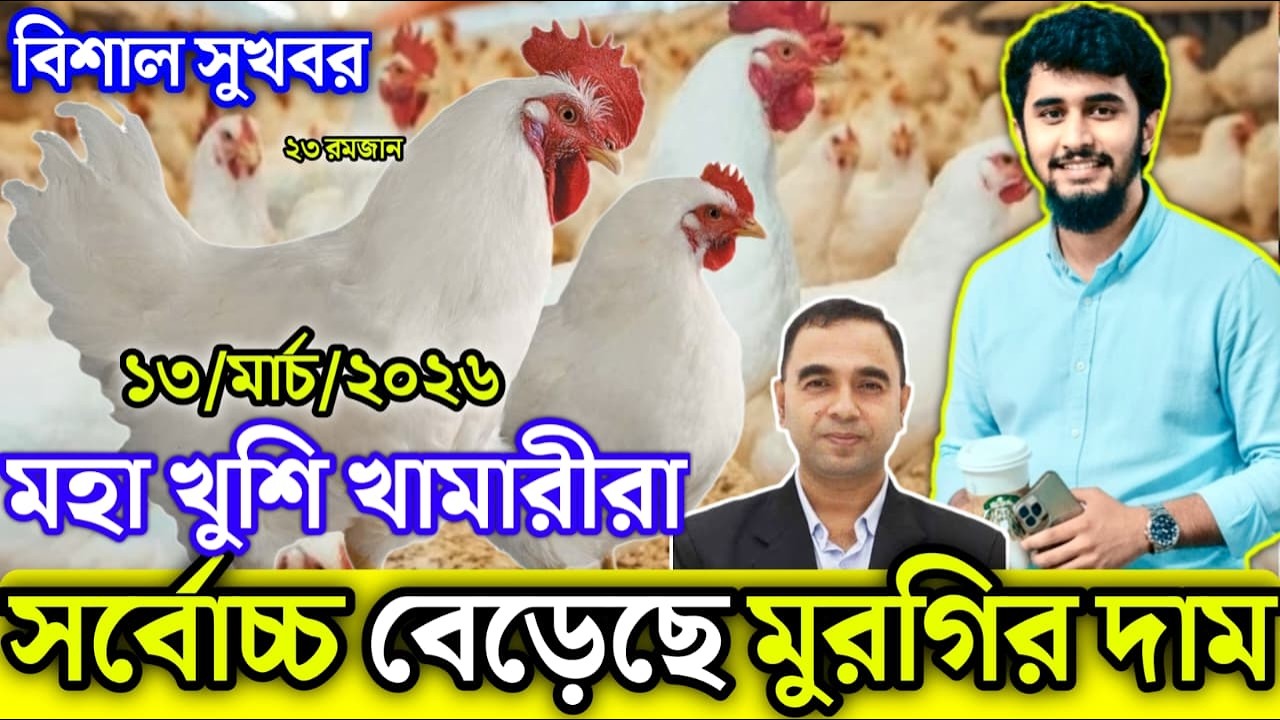 13, March 2026 || আজকের ব্রয়লার ও সোনালী মুরগির পাইকারি দাম জানুন || আজকের মুরগির বাজার দর জেনে নিন