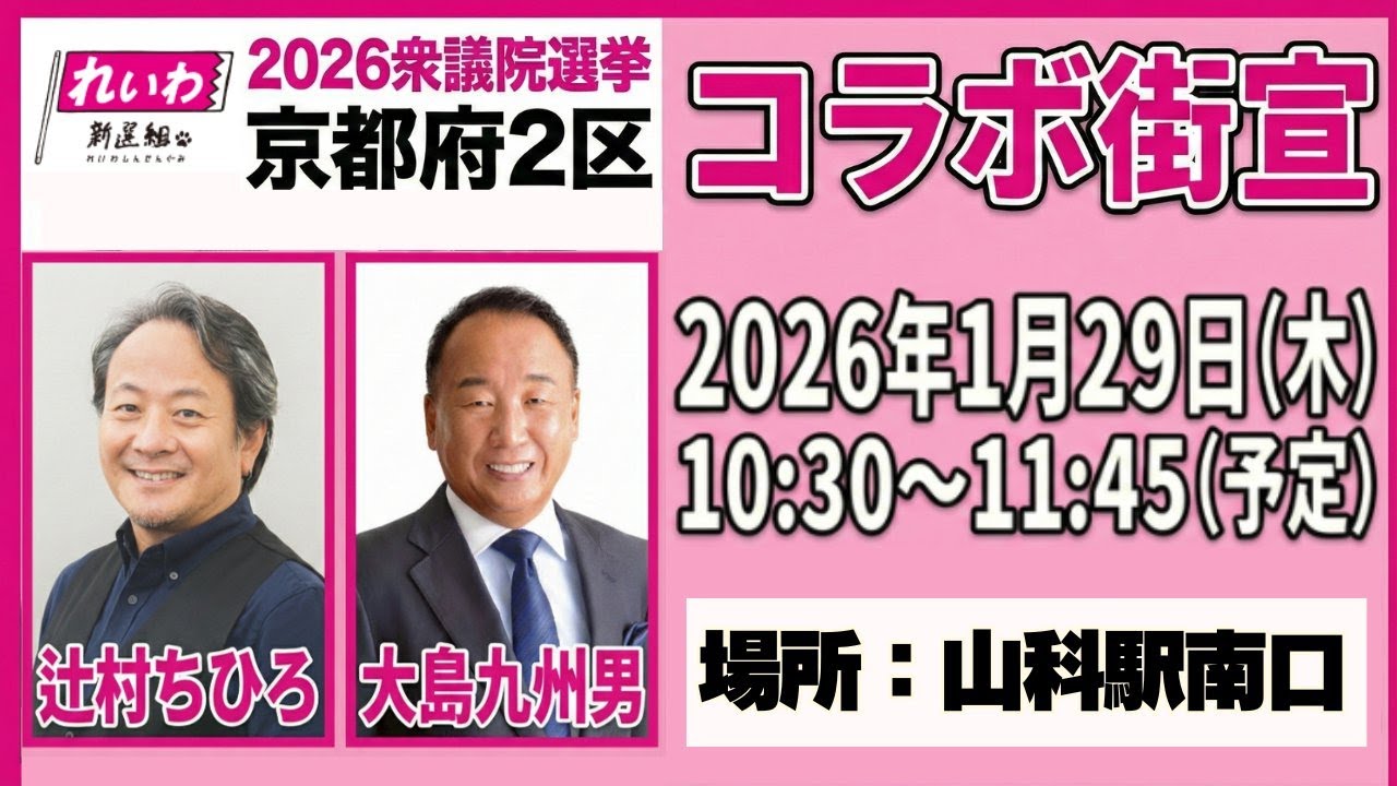 【れいわの街頭演説】京都二区 辻村ちひろ応援！