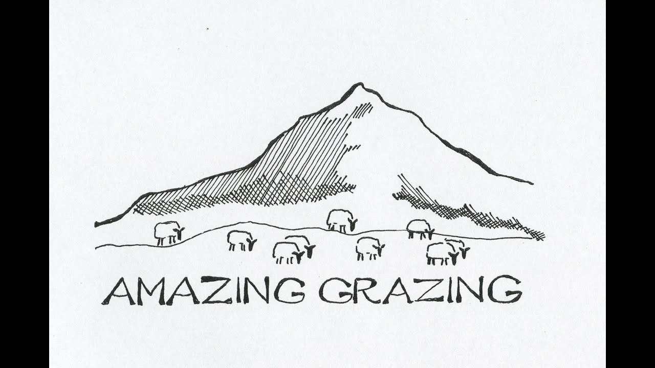 Amazing Grazing: Utmarksbeite og beitebruk