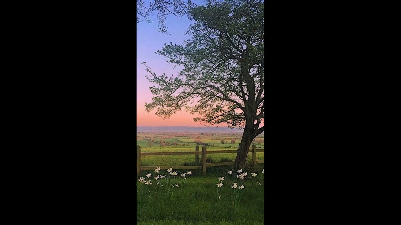 &iquest;T&eacute;o - Suplicar (sped up)