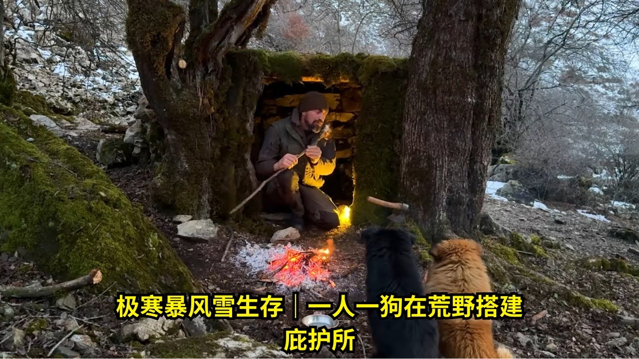 第338集: 极寒暴风雪生存｜一人一狗在荒野搭建庇护所 | 在野外建造