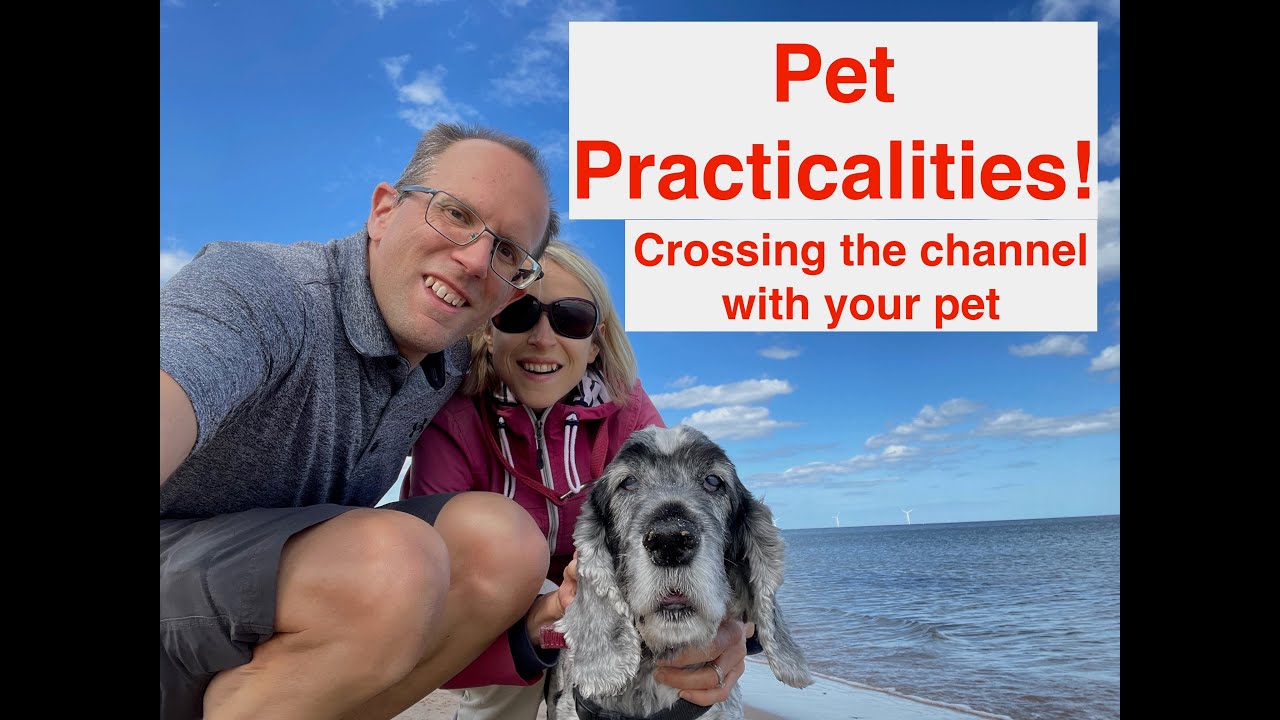 Pet Practicalities!! Taking your pet (and EV) to France on the Eurotunnel