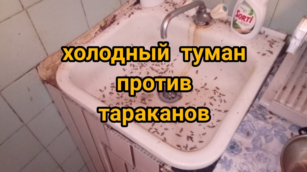 Холодный туман против тараканов.