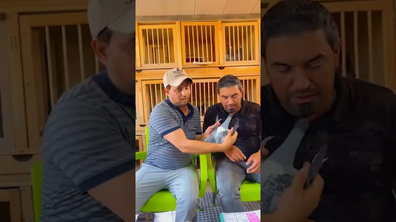 البطل سيد مسلم شرح مفصل على الحمامه الاولى سوبر ايس على بغداد الرصافه سنه 2022/2023