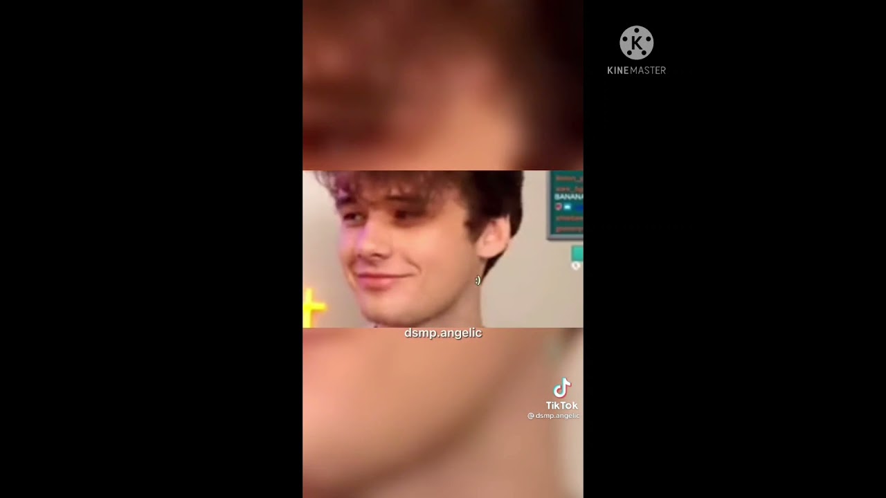MCYT Tiktok Compilations || MCYT Tiktok #1
