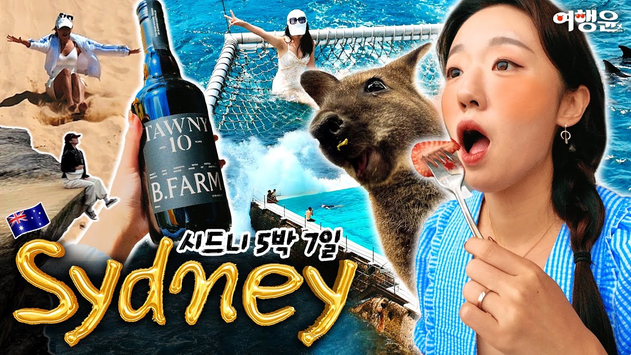 🇦🇺🦘 호주 시드니 5박7일 💰 총경비 300만원 | 🐬최고의 투어부터 ❌최악의 투어까지 | 🏨 5성급 호텔 화재 발생 사건 ㄷㄷ #호주여행 #시드니여행 #sydneytravel