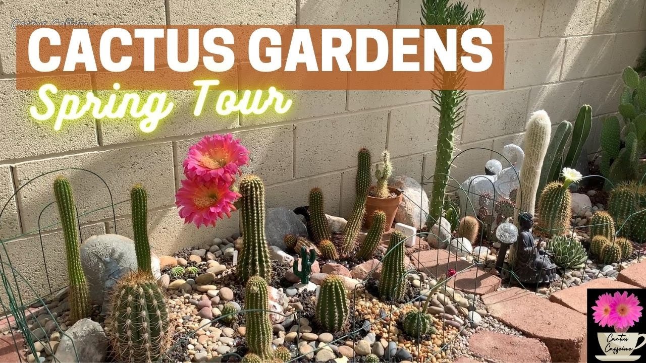 Spring 2022 Cactus Gardens Tour | #cactus #cactusgarden