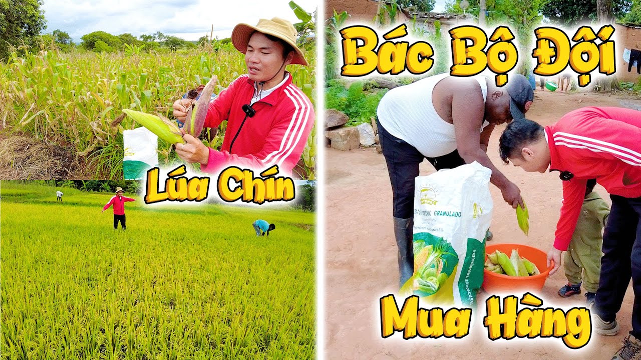 B&aacute;c Bộ Đội Cực Kỳ Y&ecirc;u Th&iacute;ch N&ocirc;ng Sản Việt Nam, Đặt Ngay Số Lượng Khủng Từ D&acirc;n Bản!