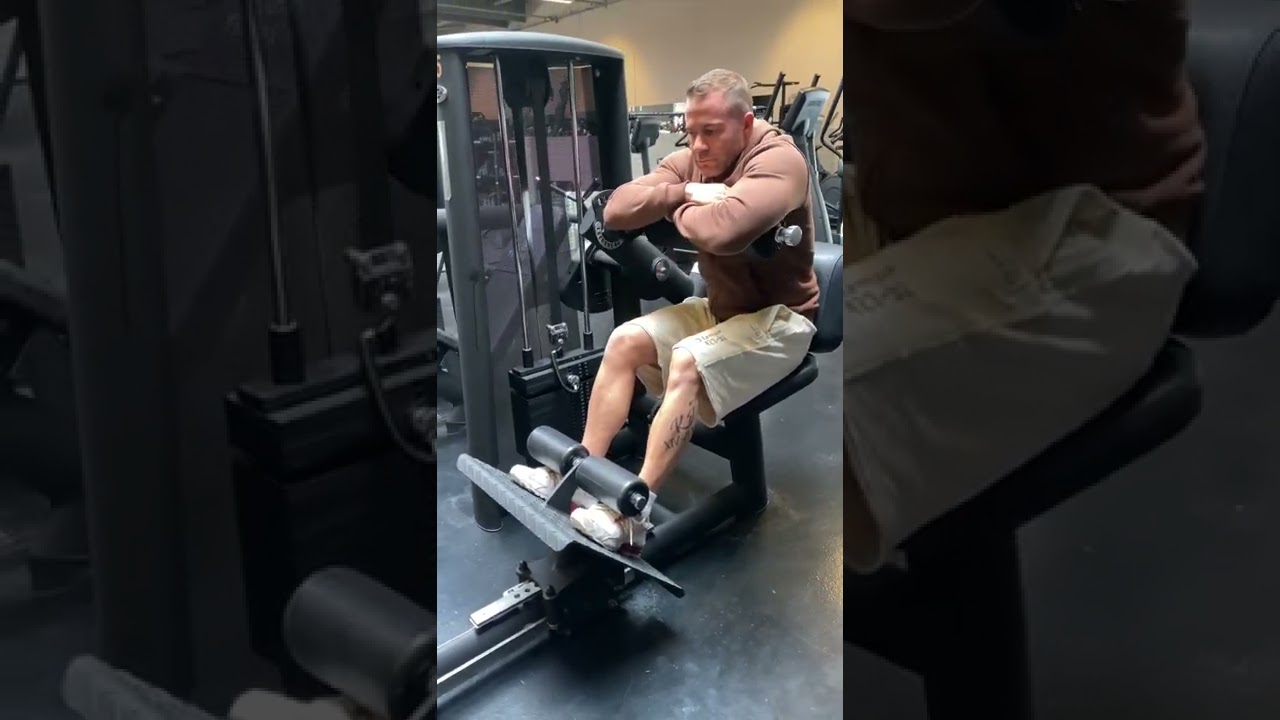 Gym80 Ab Crunch Machine (abdominal)(mavemuskler)