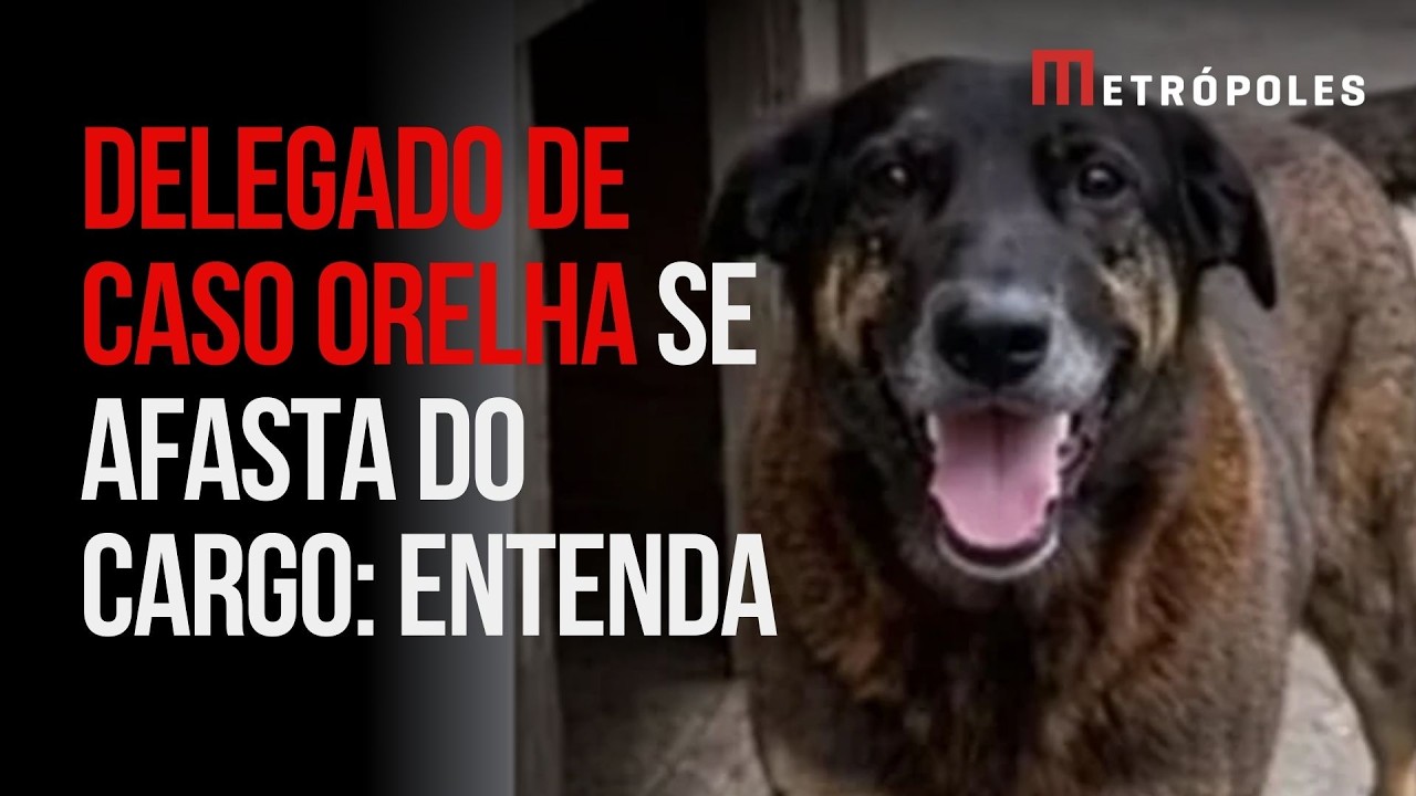 Caso Orelha: delegado se afasta para fazer campanha após diversas polêmicas