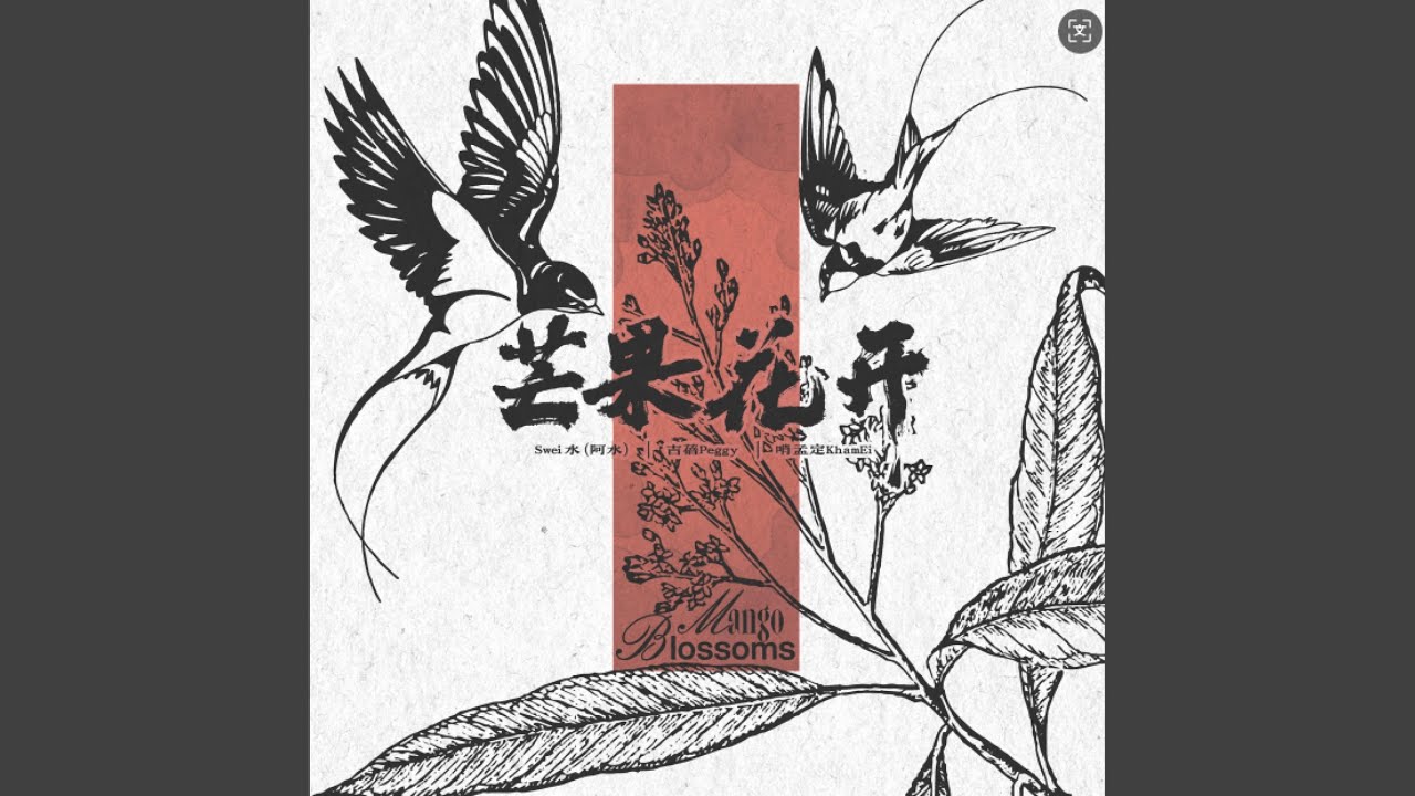 芒果花开