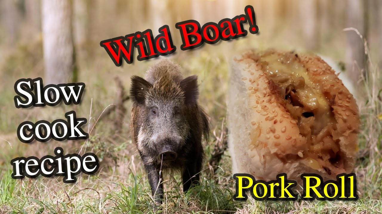 Slow Cook Boar Pulled Pork with Homemade Sauerkraut Recipe