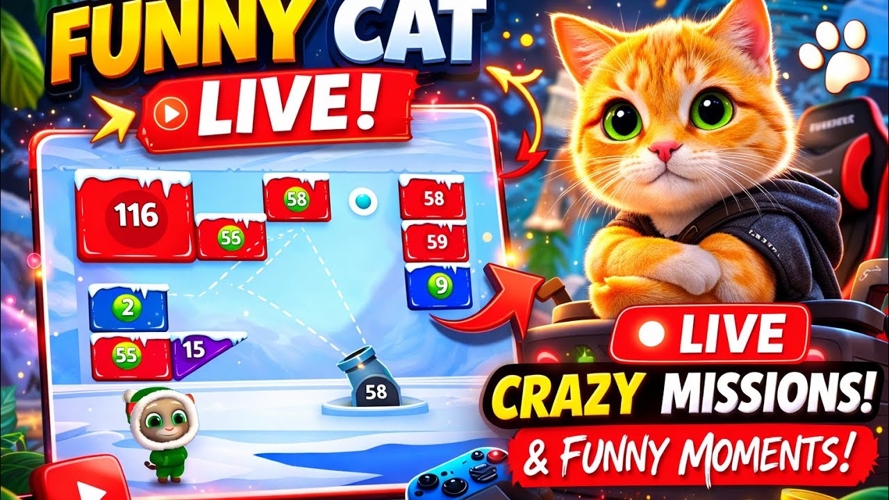 Funny Cat Game Live Stream | Crazy Cat Gameplay | Live Gaming