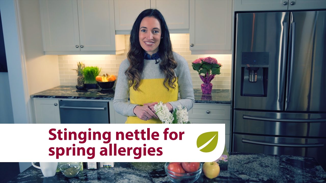 Stinging Nettle | Natural Relief for Spring Seasonal Allergies