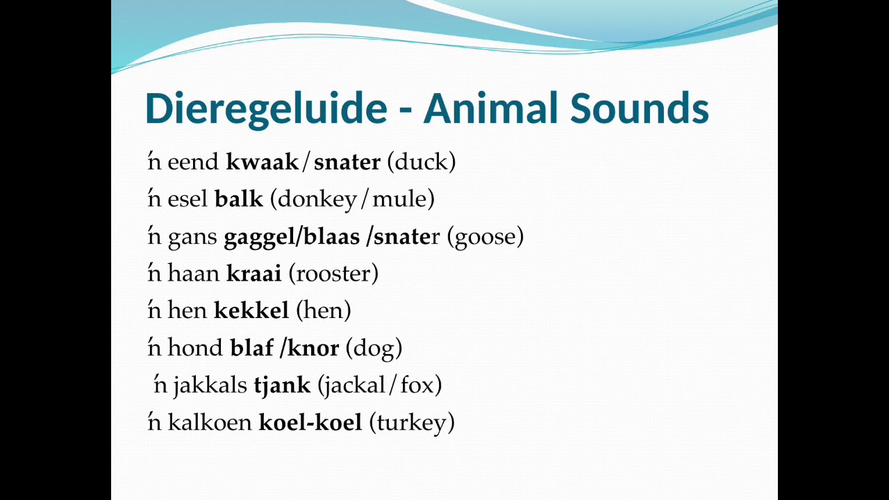 Steducentre Afrikaans L9 Dieregeluide