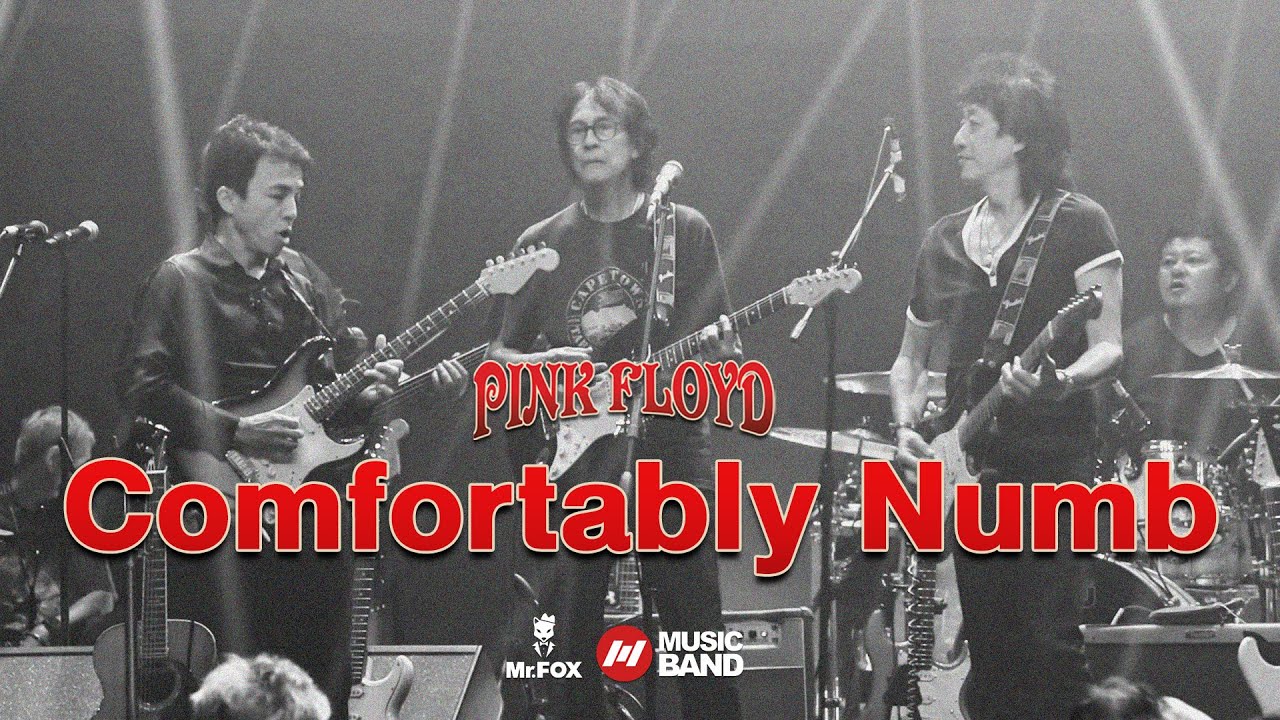 Comfortably Numb - Pink Floyd - Bigboy & อ้อง สุรสีห์ , พี่หมู คาไลโดสโคป | @ Mr.FOX Live House