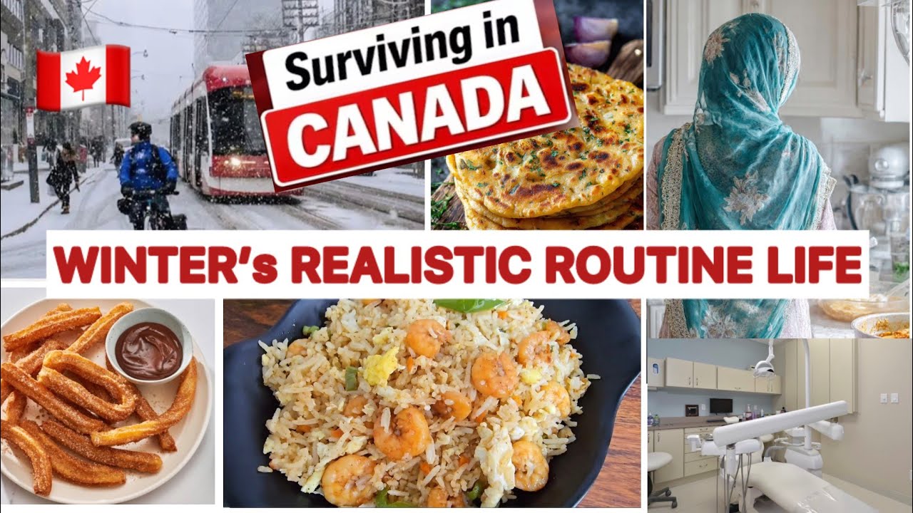 Routine Life In Winter | Zindagi Rukti Nahi Chlti  Rehti Hai | Our Life After Snowstorm In Canada🇨🇦
