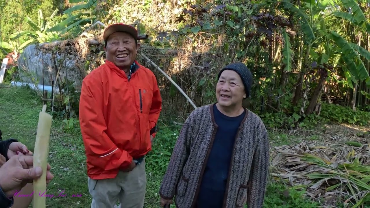 Hmong Florida Bamboo Garden...