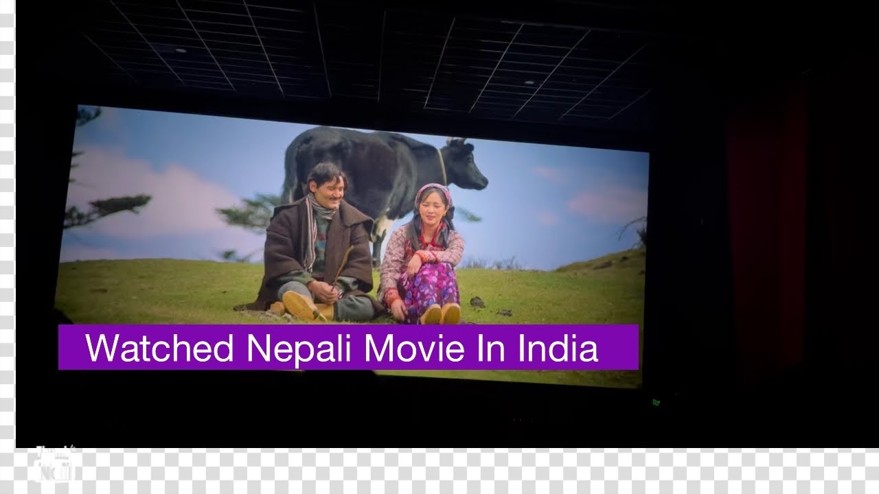 Watched Nepali movie in Chandigarh India unko sweater
