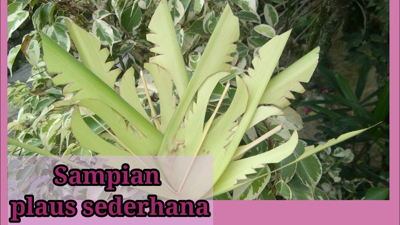 cara membuat sampian plaus - soda
