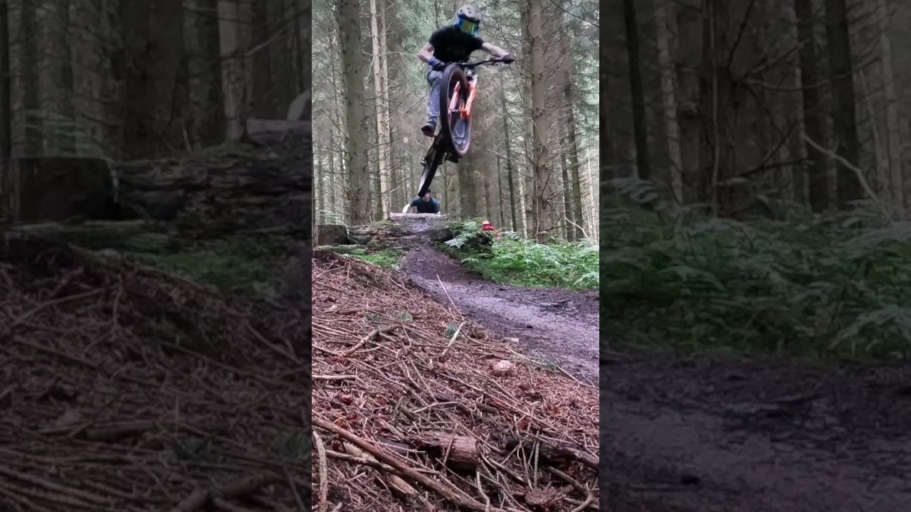 Dalby Forest Off Piste