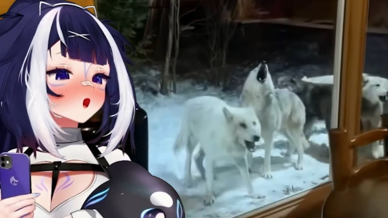 Shylily Reacts To Videos To Make You Happier