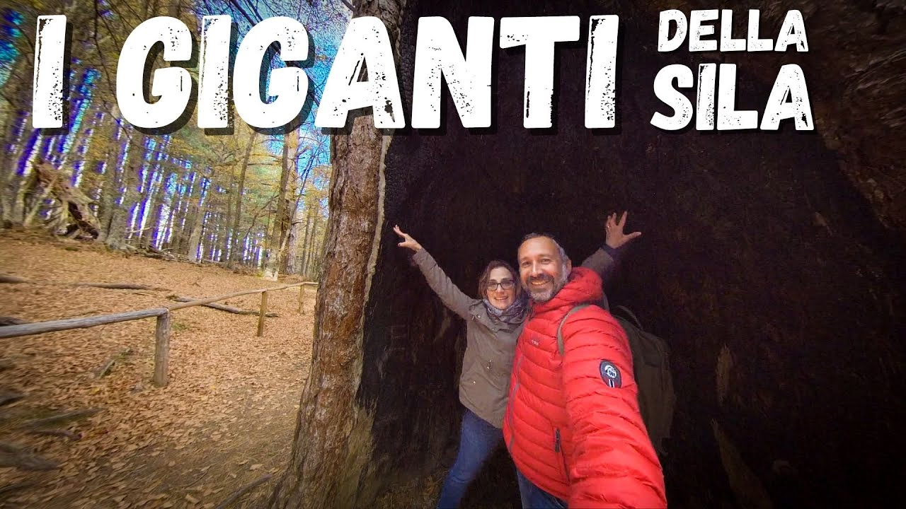 I Giganti della Sila | Italia On the Road